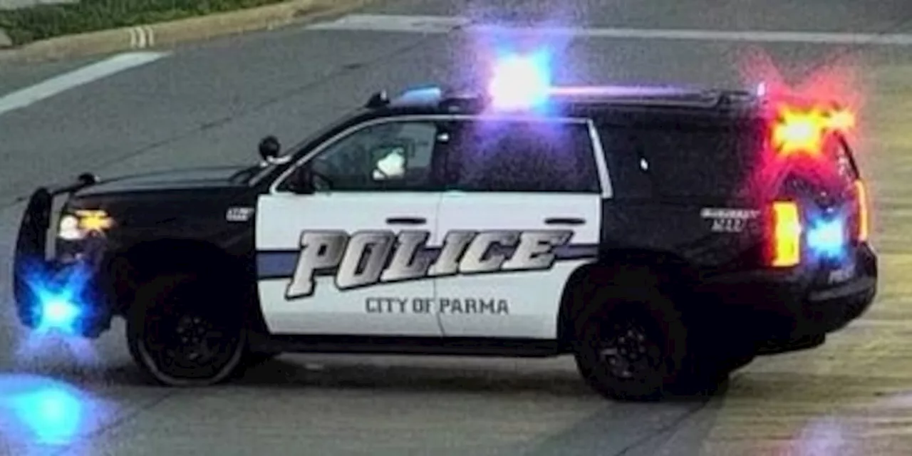 2 teens injured in Parma shooting; suspect in custody