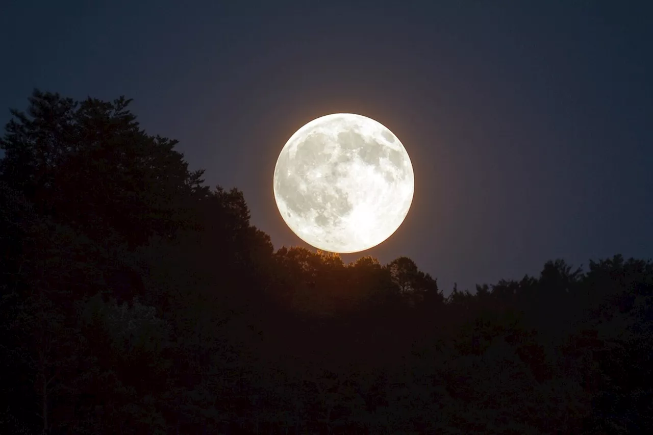 Nouvelle Lune du 1er décembre : ces quatre signes qui ont la chance de pouvoir en profiter