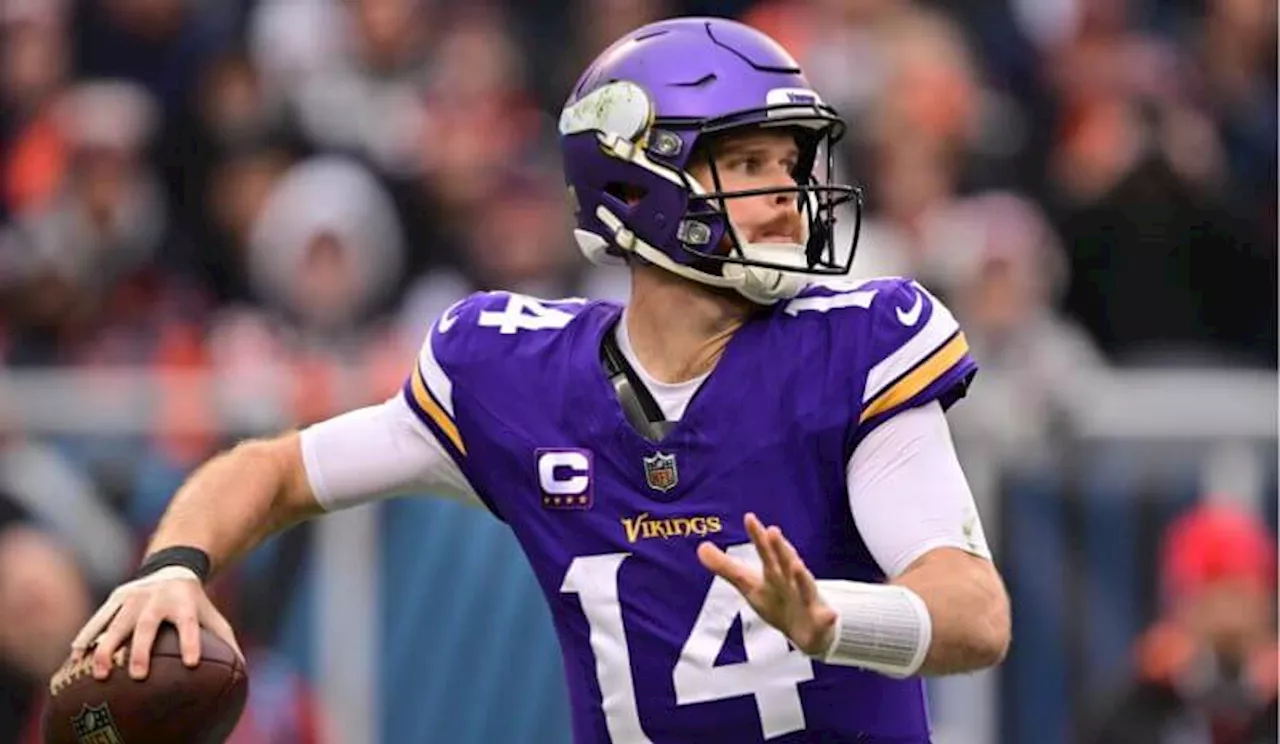 Cardinals vs Vikings Predictions and Picks for NFL Week 13