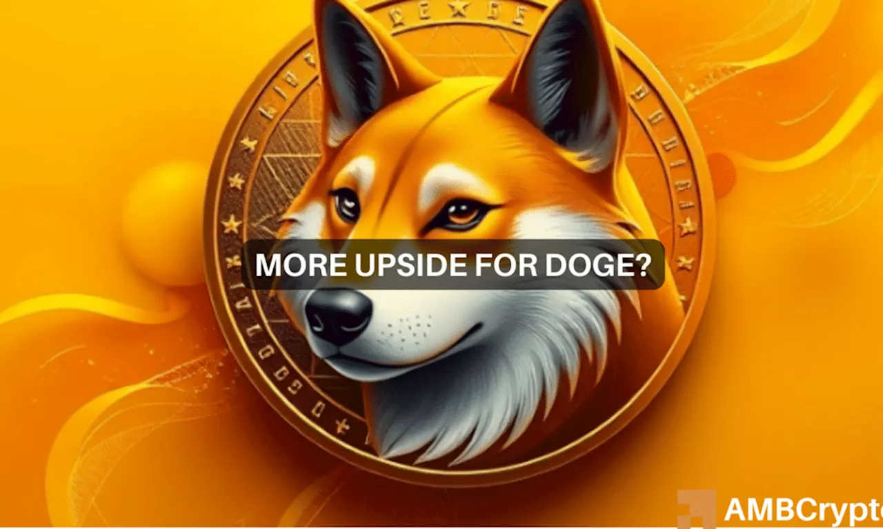 Dogecoin Poised for 28% Rally, Draws Attention from Whales and Institutions