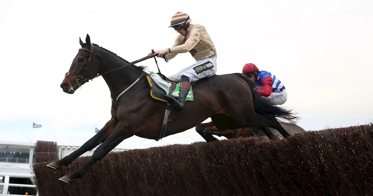 Newbury Gold Cup tips as Broadway Boy napped for glory by Garry Owen