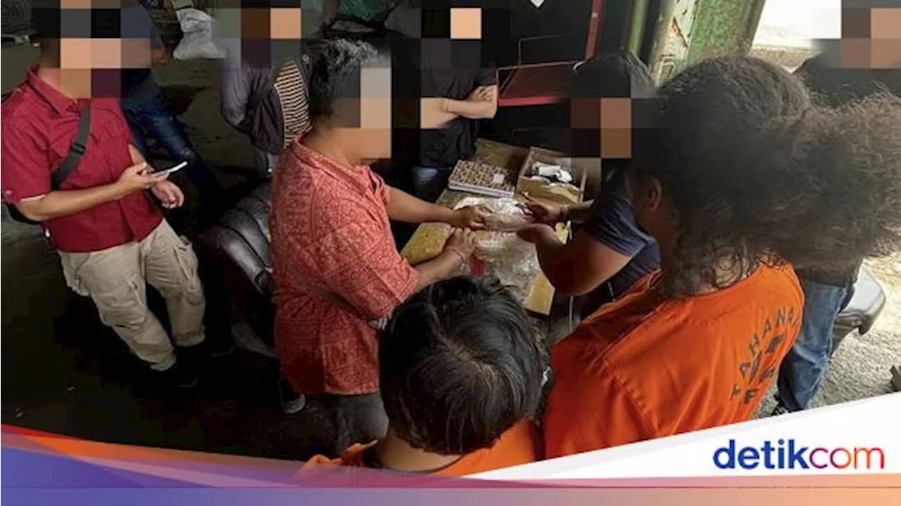 Dua Pengirim Narkoba dari Medan ke Bali Ditangkap, 5,76 Kg Ganja Disita