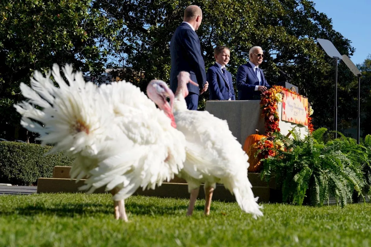 Biden celebra su último Día de Acción de Gracias como presidente de EU; Trump regresa a la Casa Blanca en enero