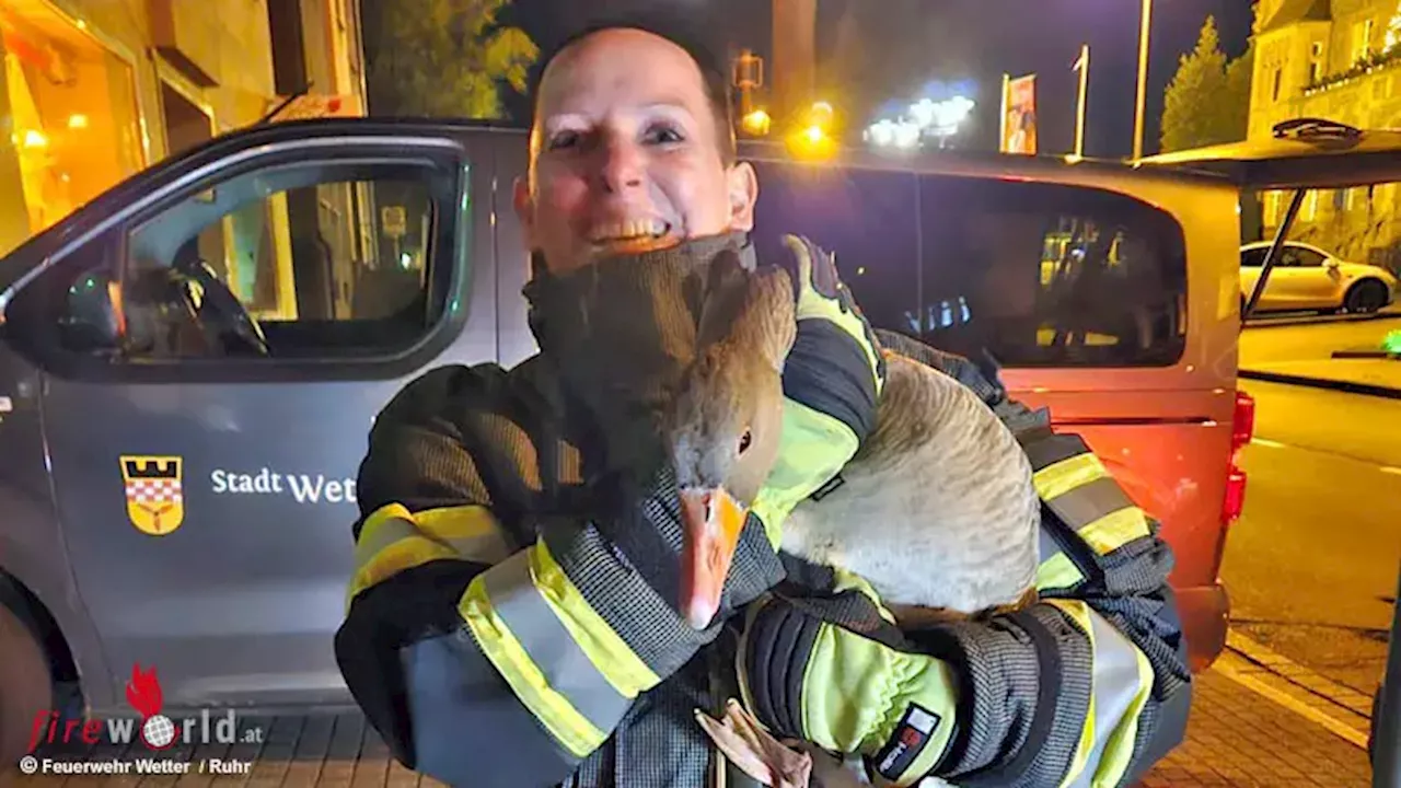 D: Feuerwehr Wetter und die Gans und ausgelöste Einbruchverneblungsanlage