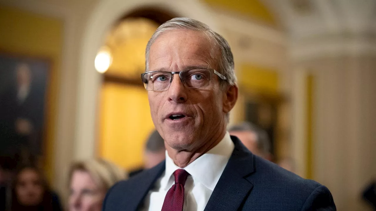 Here’s How Much John Thune, The New Senate Majority Leader, Is Worth