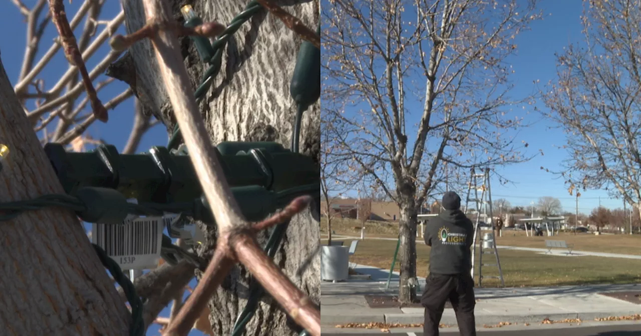 Utah business urges safety when lighting trees for holidays