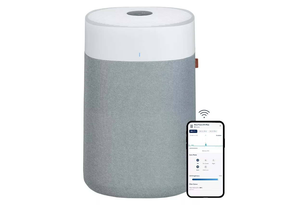 The Blueair Smart Air Purifier at a Smart Price, Nearly 50% Off for Black Friday