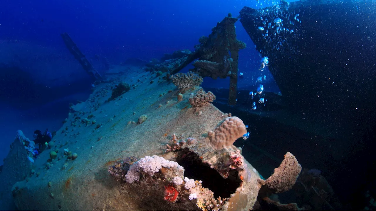 500-year-old shipwreck could be São Jorge from Vasco da Gama’s final voyage