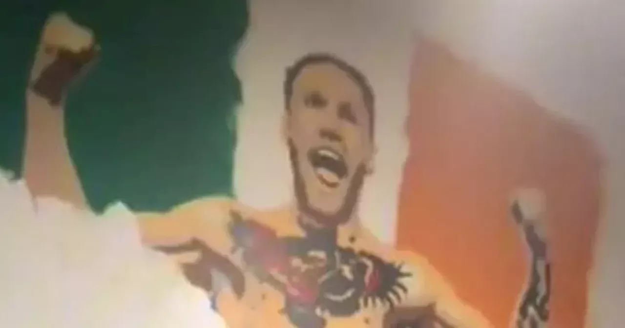 Conor McGregor's Political Ambitions Stirring Ireland's Consciousness