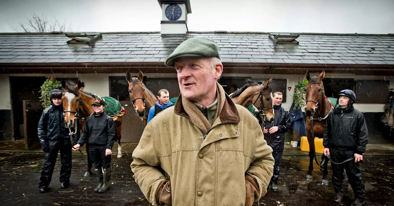 Willie Mullins Starts November Preparations for National Hunt Season