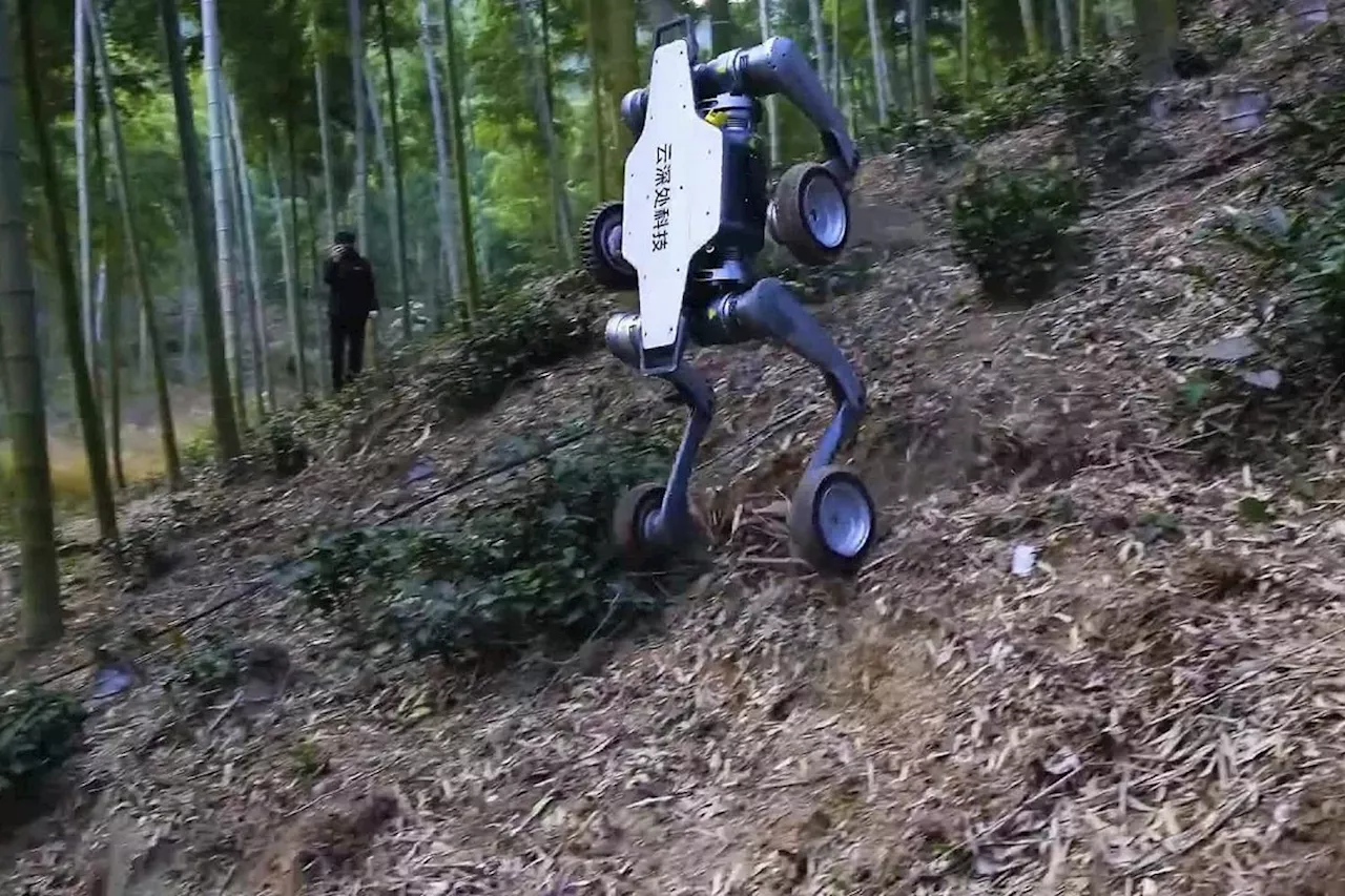 Lynx, le robot quadrupède tout-terrain qui met la gomme