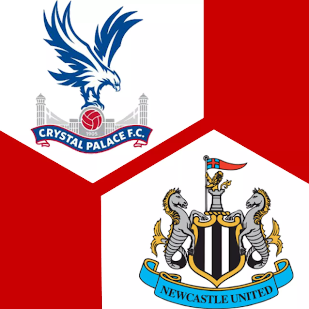 Crystal Palace - Newcastle United : | 13. Spieltag