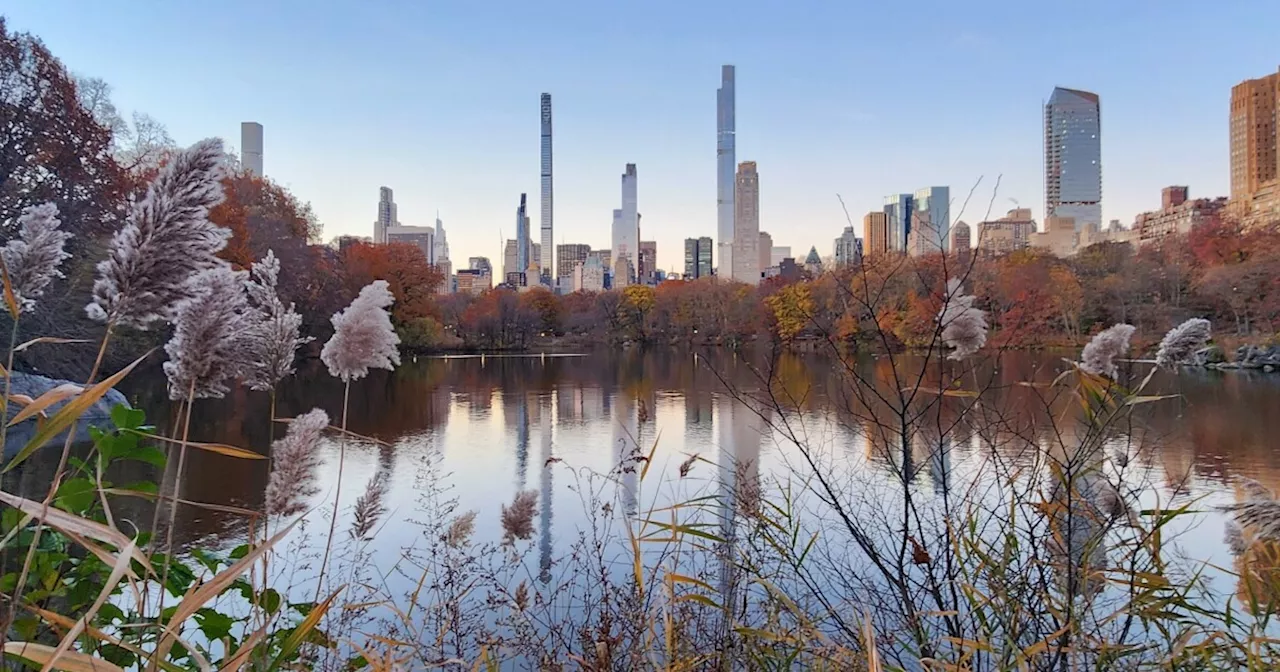 Reporter Journal: A sunrise trek through wild solitude in New York City