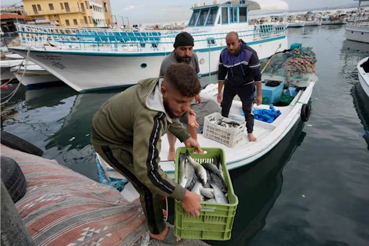 Hope Returns to Tyre as Fishermen Reclaim the Mediterranean