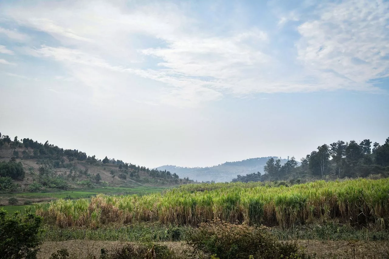 Génocide au Rwanda : un procès requis en France contre un Tourangeau