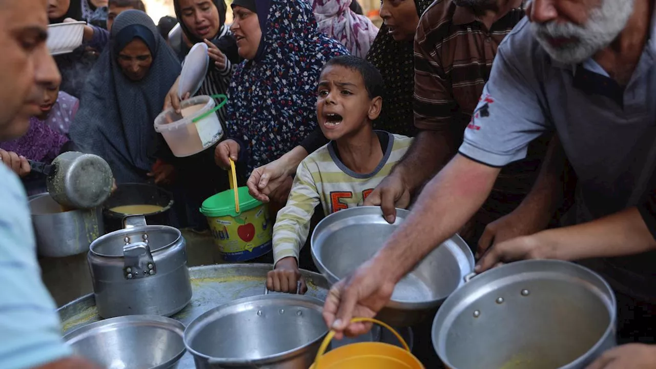 Kelaparan di Gaza: 3 Orang Tewas Tergencet Saat Antre di Toko Roti