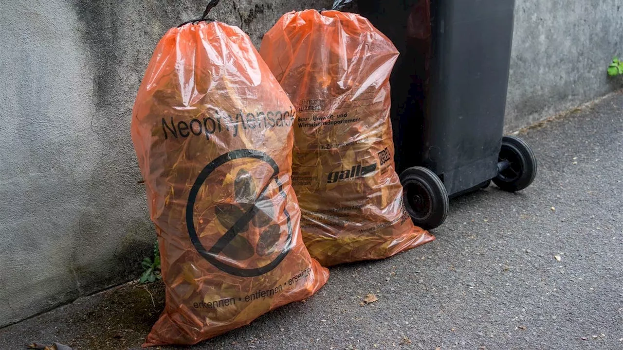 Gall Führt Neophytensack Wieder Ein