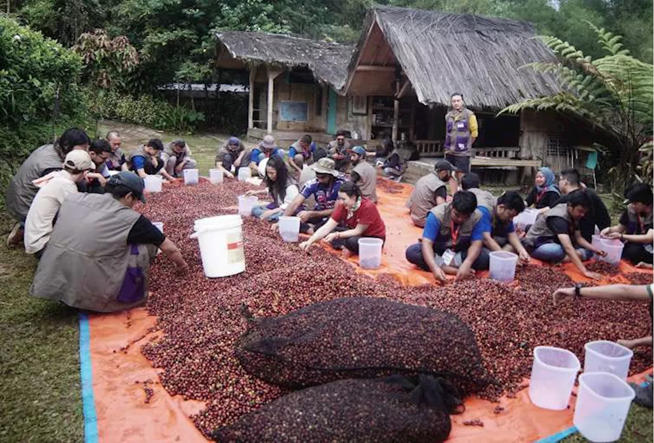 Mengupas Fermentasi Kopi di Indonesia