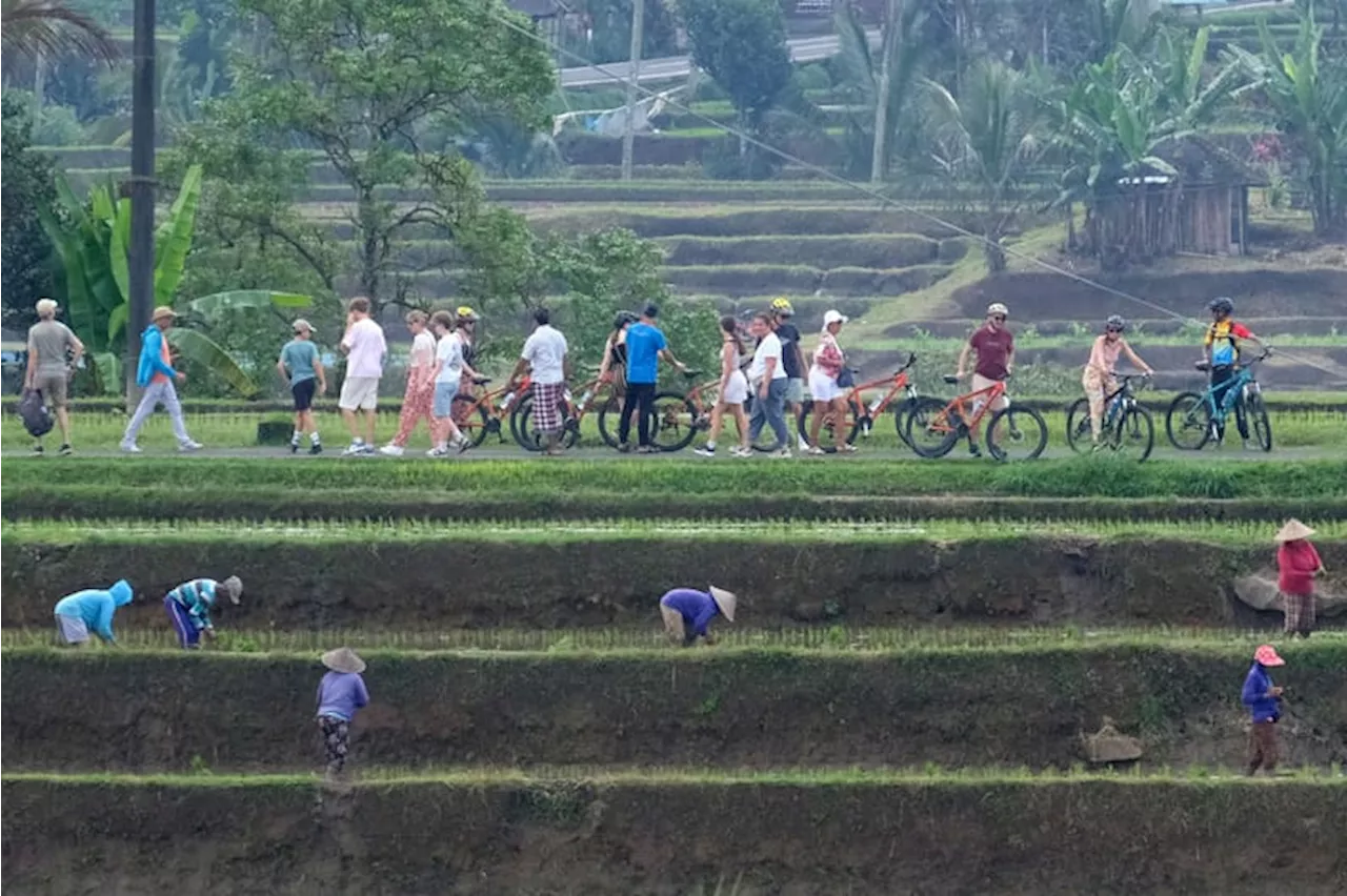 Menteri Pariwisata Harus Respons Pernyataan Fodor Soal Bali