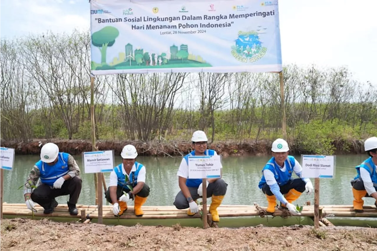 PLN EPI dan Perhutani Dorong Kawasan Mangrove dan Hutan Biomassa di Lontar