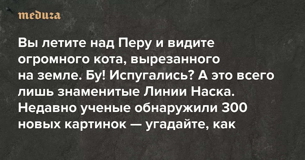 Вы летите над Перу и видите огромного кота, вырезанного на земле. Бу! Испугались? А это всего лишь знаменитые Линии Наска — и им как минимум 800 лет