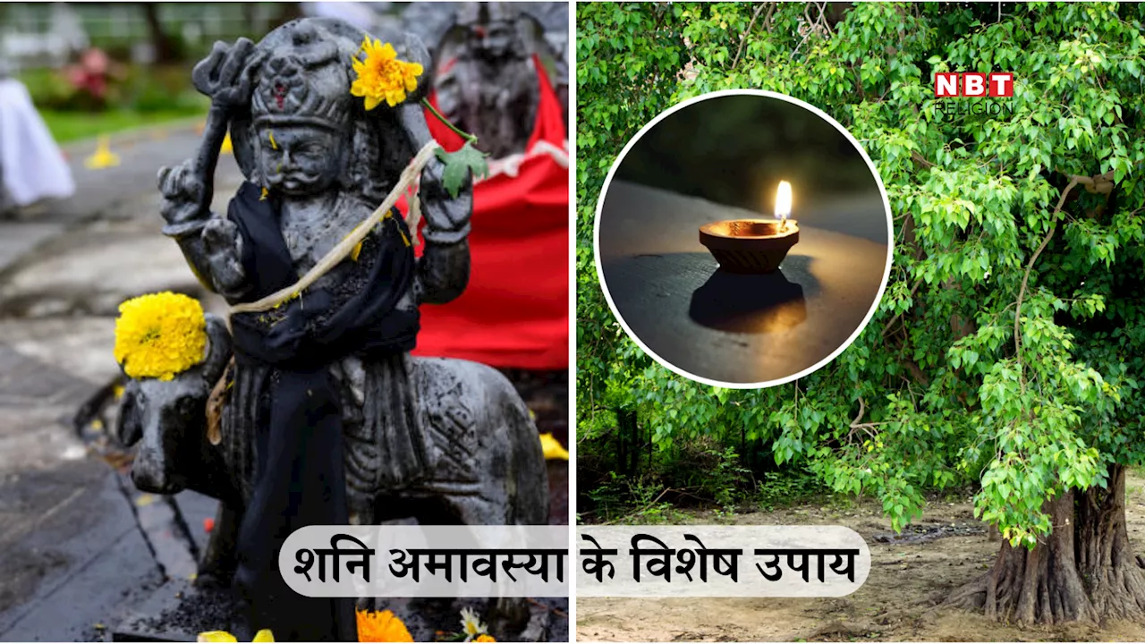 Shani Amavasya 2024: शनि अमावस्या आज, शनि प्रकोप से मुक्ति पाने के लिए करें ये विशेष उपाय