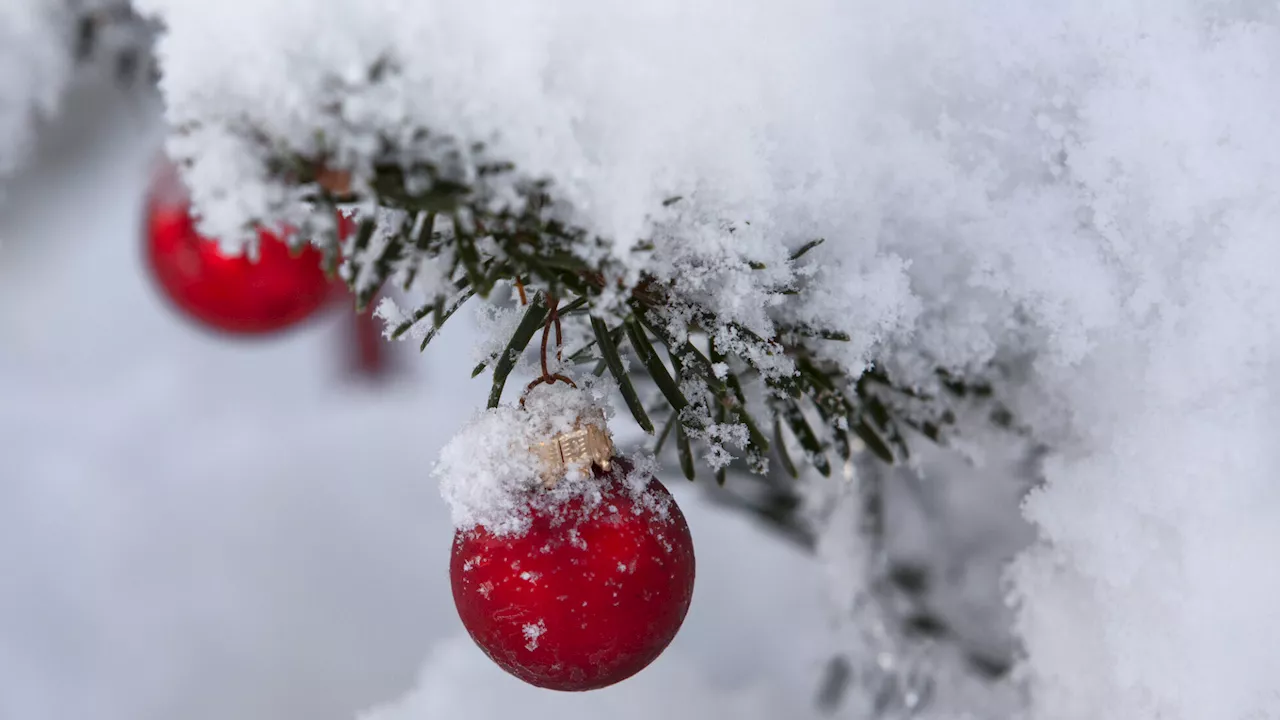 Wetterexperten Analysieren Veränderung der Schneewahrscheinlichkeit zu Weihnachten