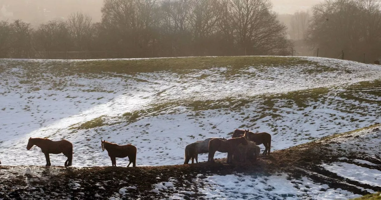 Met Office predicts huge 17C temperature swing in just two days amid mild spell