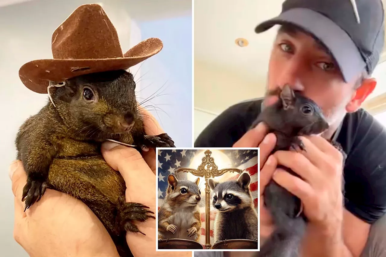 P'Nut the Squirrel's owner starts crypto coin after feud with online investors