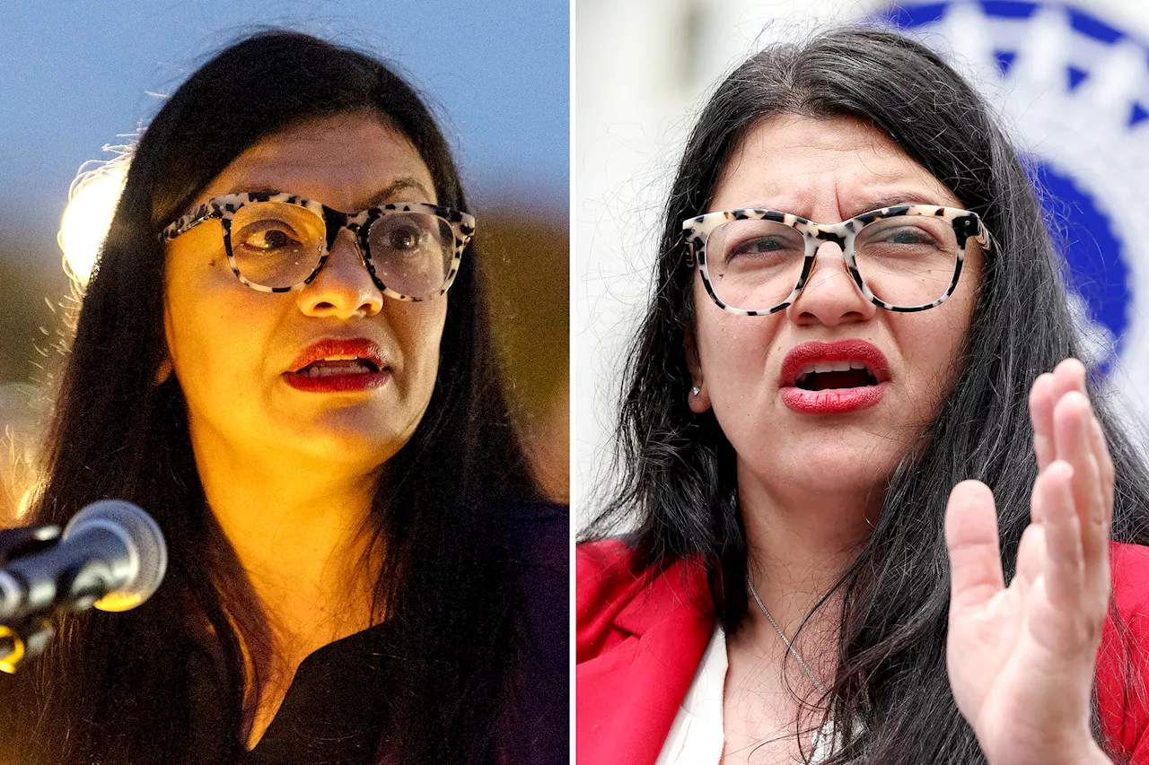 'Squad' member Rashida Tlaib uses Thanksgiving message to poke at Israel as she 'mourns' Indigenous 'killed by European settlers'