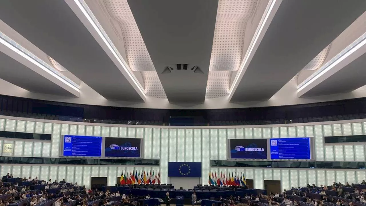 Des lycéens segréens en immersion au Parlement européen