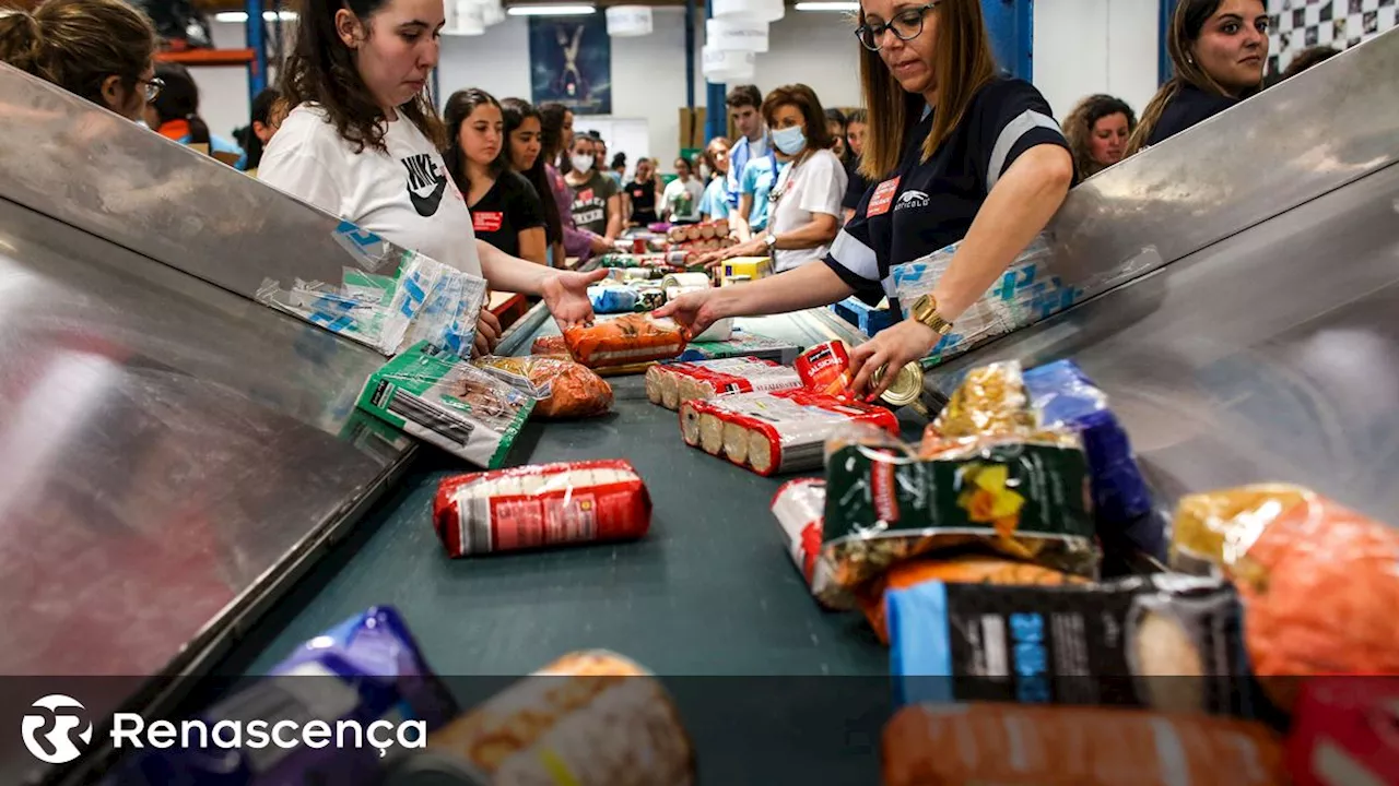 Campanha de Recolha de Alimentos Conta Com 40 Mil Voluntários em Portugal