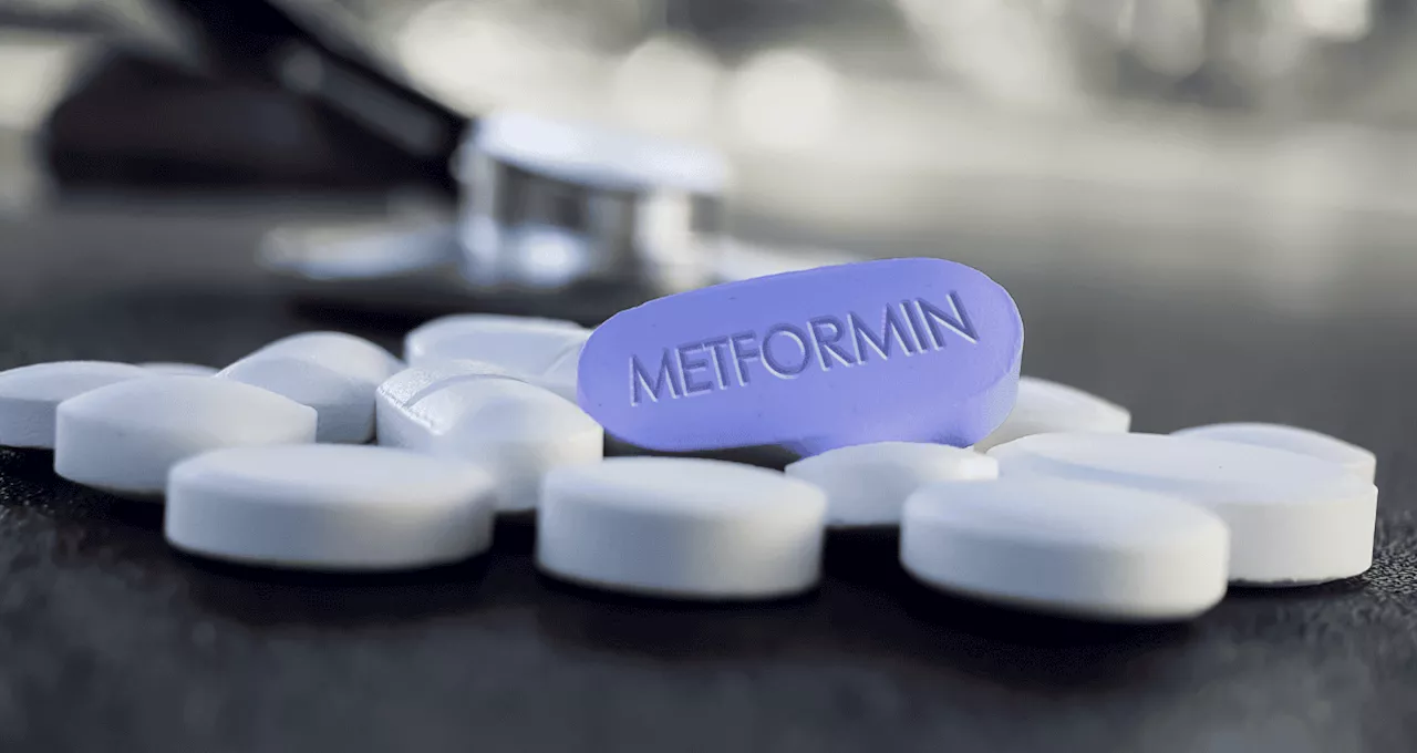 Metformina: El Medicamento Esencial para la Diabetes Tipo 2