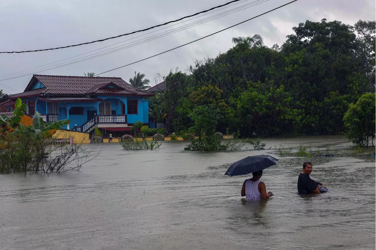 Floods submerge over 26,000 hectares of Kelantan padi fields