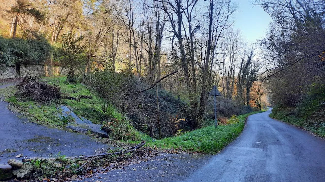 Béarn. « C’est incroyable » : une octogénaire retrouvée vivante après avoir passé trois nuits dehors