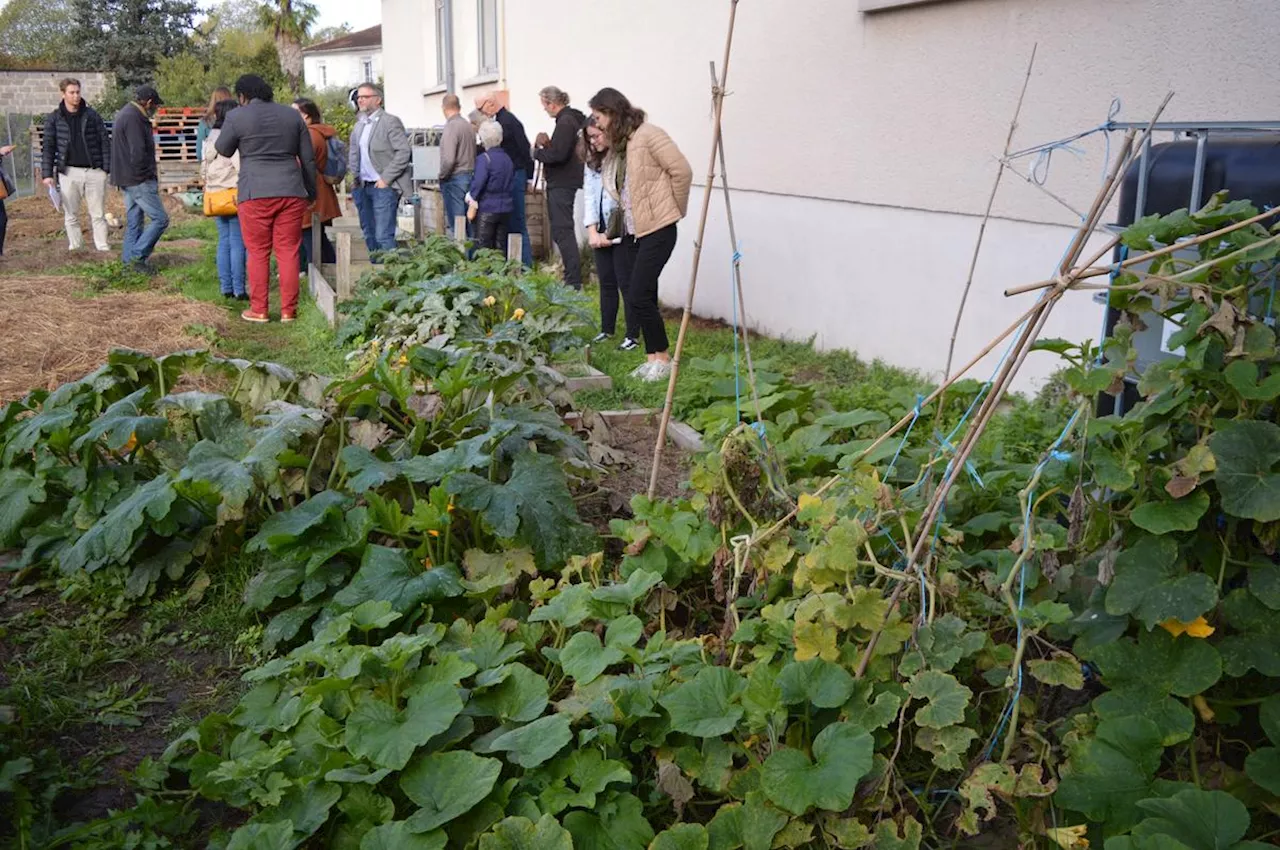 Économie sociale et solidaire : « Il y a des choses qui ne peuvent pas être marchandisées »