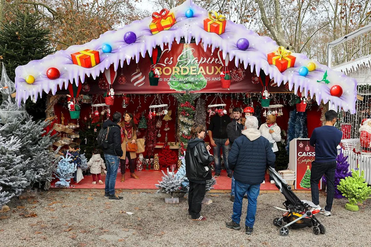 « Maintenant, on peut passer dans les allées, on respire », le nouvel emplacement du marché de Noël ravit les Bordelais