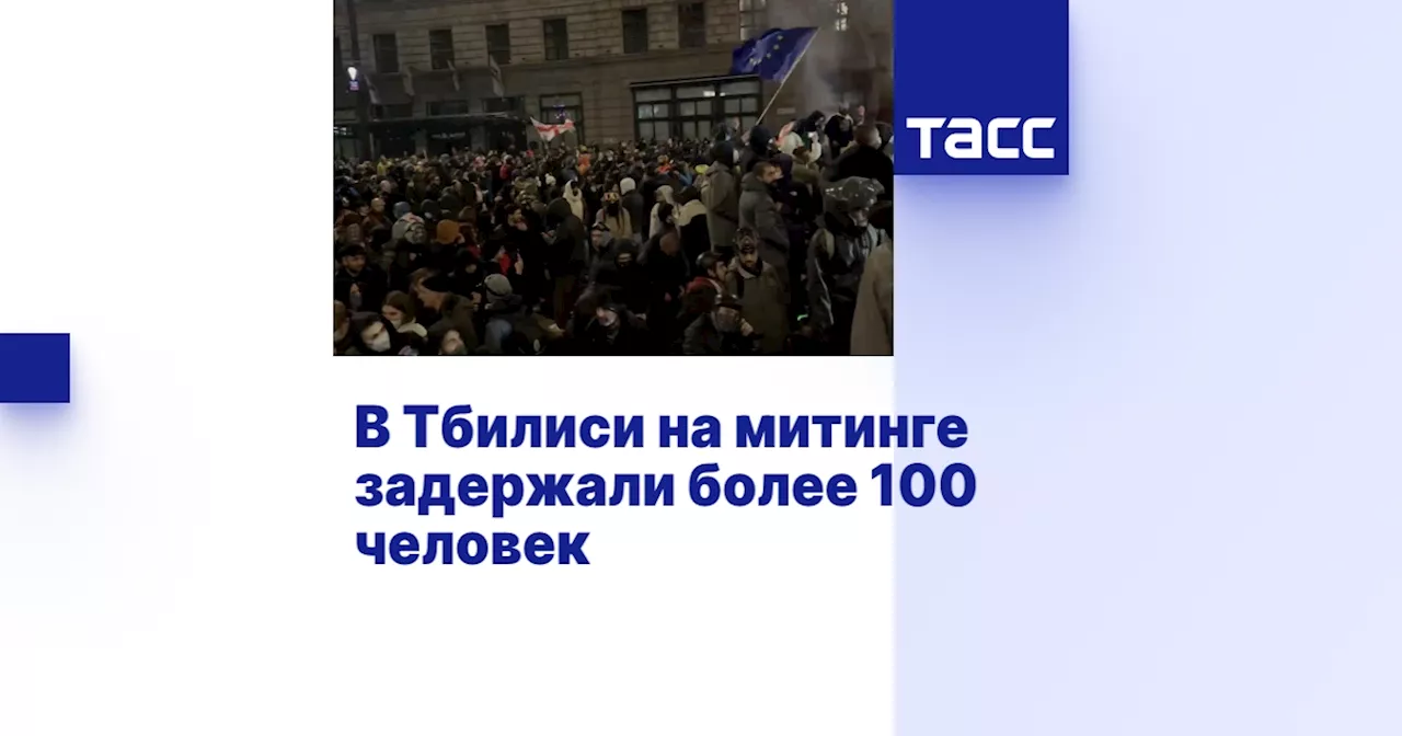 В Тбилиси на митинге задержали более 100 человек