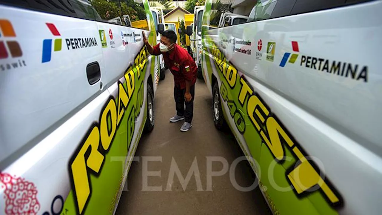 Airlangga Pastikan Penerapan Biodiesel B40 Akan Dilakukan 1 Januari 2025