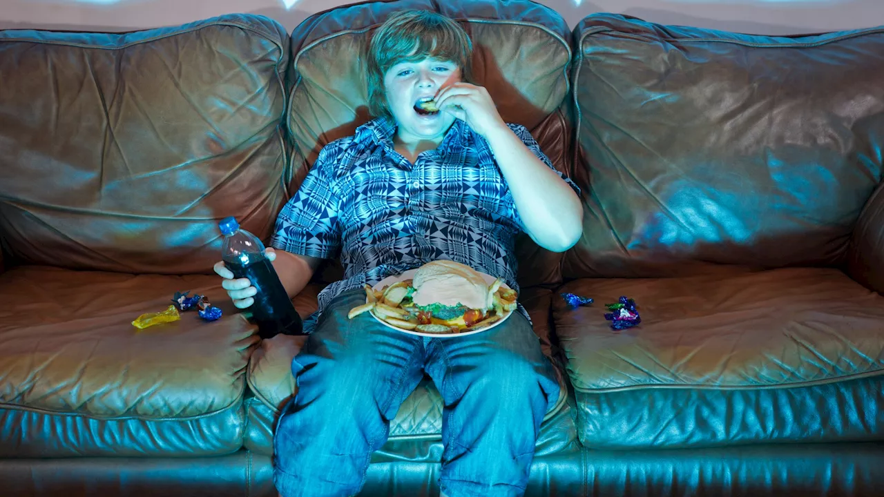 Junk Food Firms Evade Advertising Ban Through Gaming and Social Media