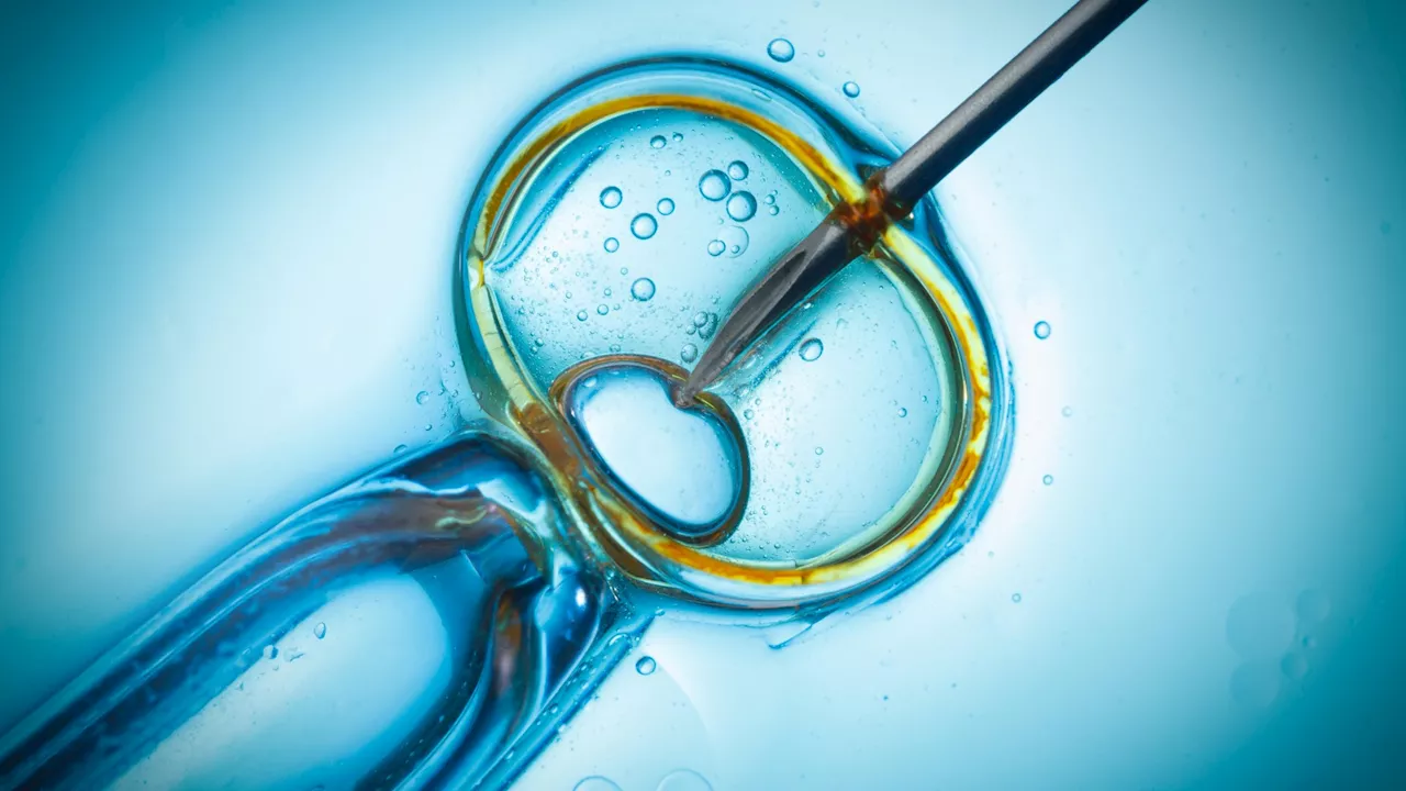 Women's Rising Use of Sperm Donor IVF: A Cautionary Tale