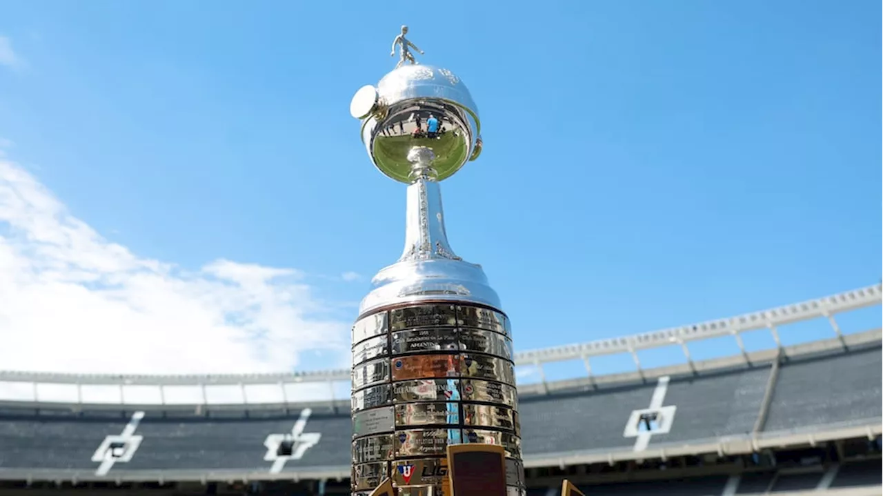 Quién será el campeón de la Copa Libertadores entre Mineiro y Botafogo, según la inteligencia artificial