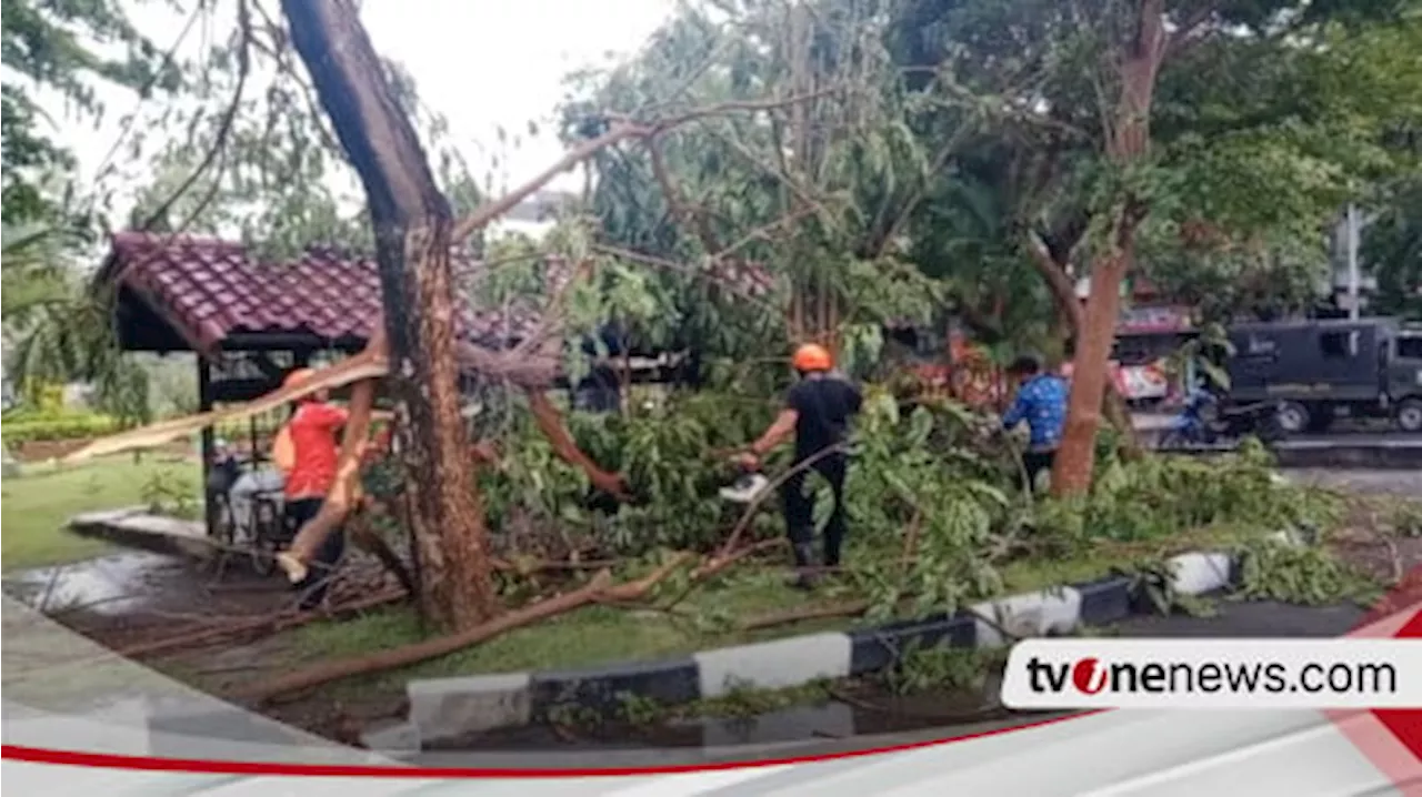 Angin Kencang Terjang Dharmahusada Surabaya, Puluhan Pohon Tumbang dan Atap Berterbangan