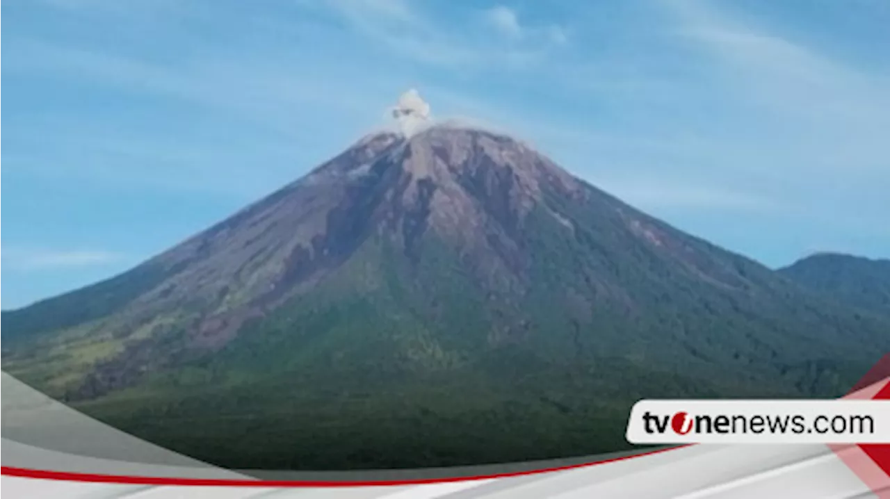 Gunung Semeru Sudah Tiga Kali Erupsi pada Hari Ini 30 November 2024