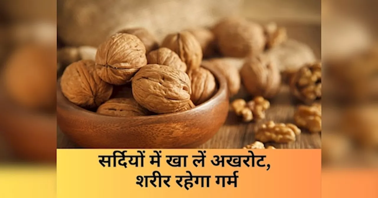 Walnuts Benefits: सर्दियों में डाइट में शामिल कर लें अखरोट, बीमारियां रहेंगी दूर, दिमाग होगा तेज