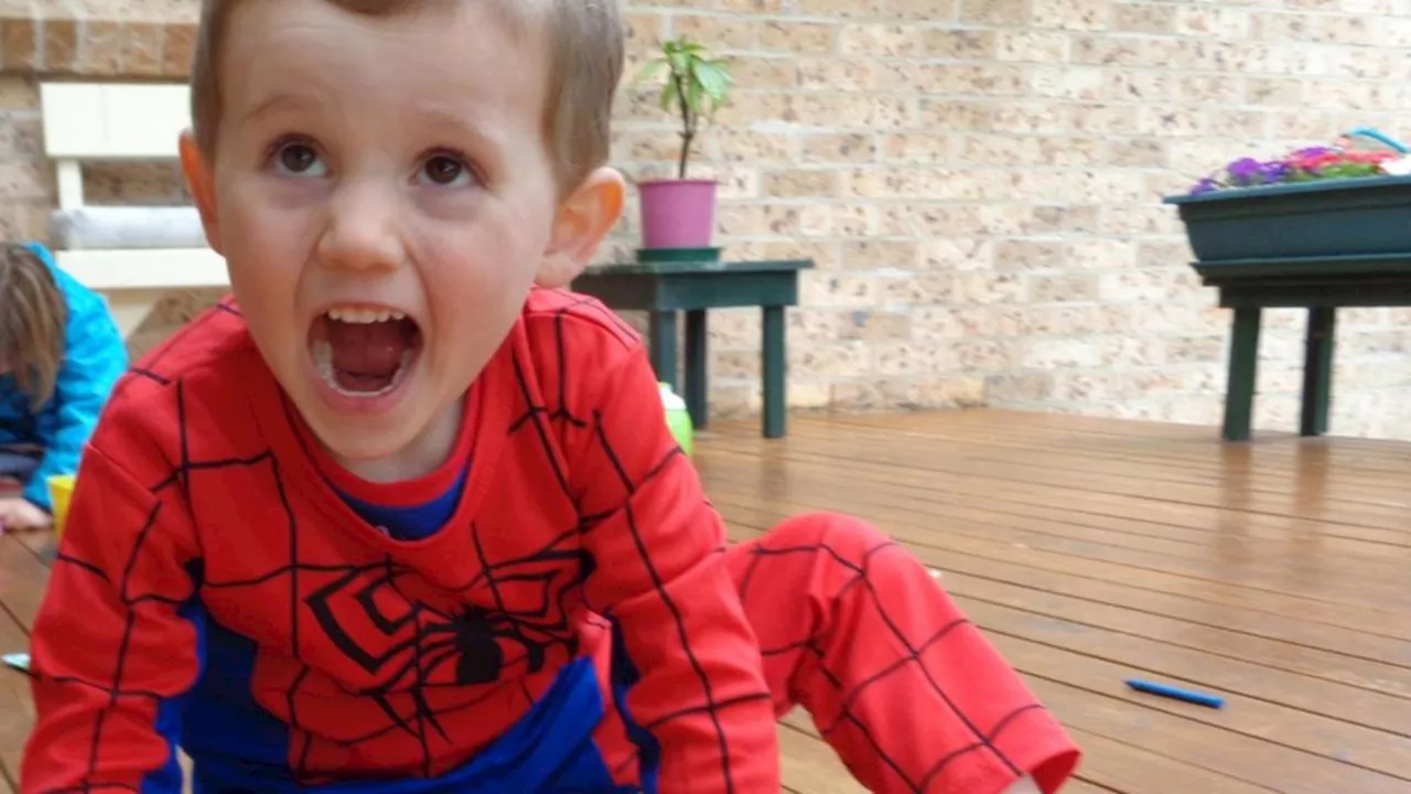 Corpse disposal claim against William Tyrrell's foster mum tested