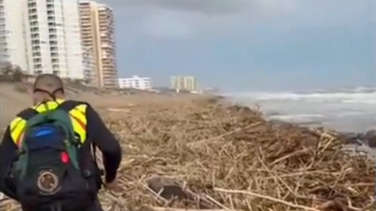 Hallan varios cadáveres que arrastró la DANA hasta el mar en Valencia