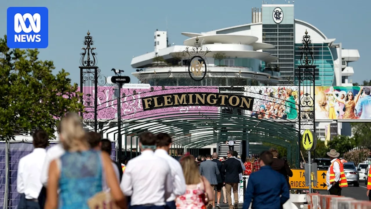 Melbourne Cup day raises complicated feelings about horse racing for many Australians