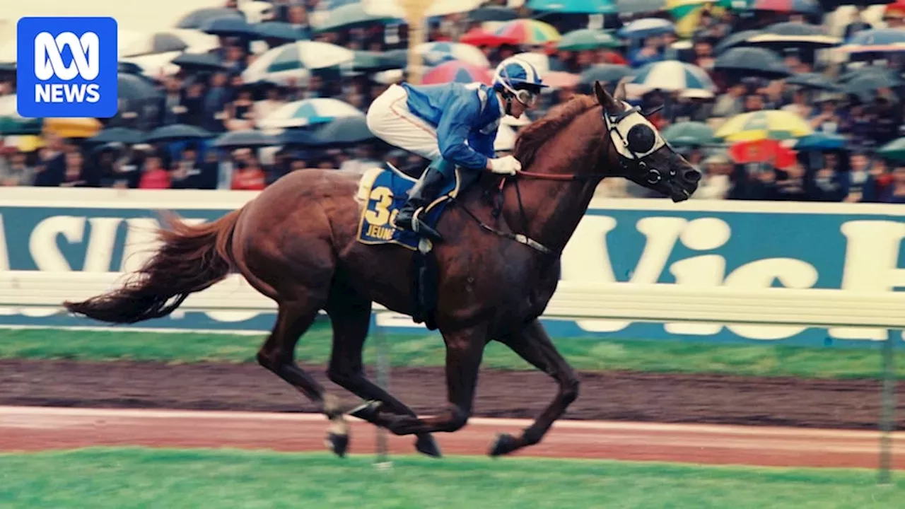 Melbourne Cup winner Wayne Harris reflects on his place in racing