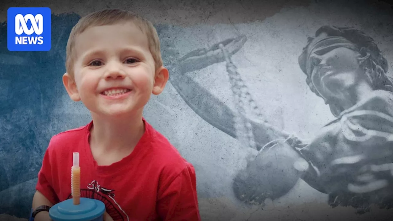 William Tyrrell inquest resumes with new details of police theory about involvement of former foster mother revealed